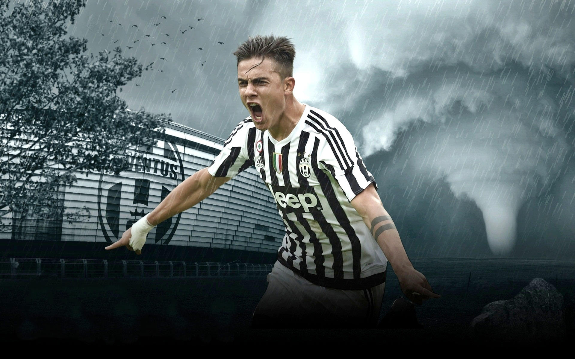 塔雷：拥有魔笛这样的导师是亚沙里的优势，我们对他充满信心（塔雷：在魔笛辅导下亚沙里更占优势，我们对他信心十足）